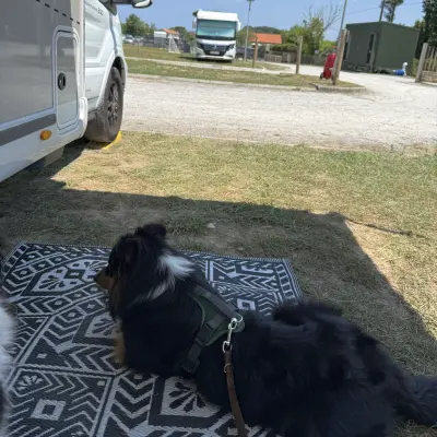 Sommerurlaub 26